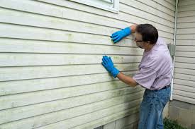 Best Storm Damage Siding Repair  in Keewatin, MN